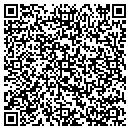 QR code with Pure Pilates contacts