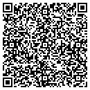 QR code with Public Instruction contacts