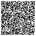 QR code with Safeco contacts