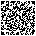 QR code with Kacey's contacts