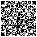 QR code with Pulaski Sandblasting contacts