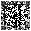 QR code with T Gomm contacts