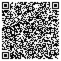 QR code with Signal contacts