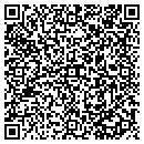 QR code with Badger Siding & Windows contacts