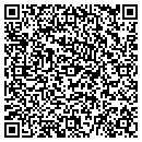 QR code with Carpet Shoppe The contacts