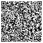 QR code with Badger Wash Stoughton contacts