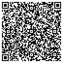 QR code with Pure-Flo Mpc contacts