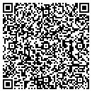 QR code with Pro Assembly contacts