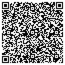 QR code with Professional Stylists contacts