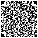 QR code with Proto One Mfg LLC contacts
