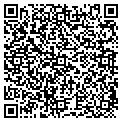 QR code with Tilt contacts