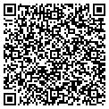 QR code with Tipico contacts