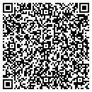 QR code with C M Business Service contacts