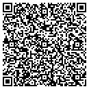 QR code with Cybernetic Contractors contacts