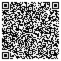 QR code with Wipfli contacts