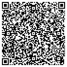 QR code with Badger Telecom & Sounds contacts