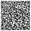 QR code with Carpet Gallery The contacts