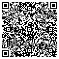 QR code with Amvets contacts