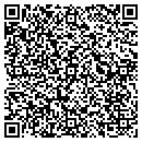 QR code with Precise Construction contacts