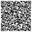 QR code with Premier Group contacts