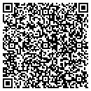 QR code with Blu Globefusion contacts