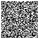 QR code with Prime Time Mobile Djs contacts
