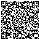 QR code with Pro Cellular contacts