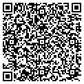 QR code with Excel contacts