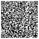 QR code with Professional Plastering contacts