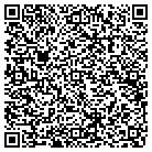 QR code with Blink Construction Inc contacts