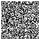 QR code with Chelsea Chimney Co contacts
