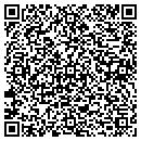 QR code with Professional Plowing contacts