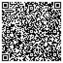 QR code with Charles V Feltes SC contacts