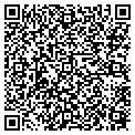 QR code with Colders contacts