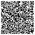 QR code with Detour contacts