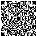 QR code with Psych Screen contacts