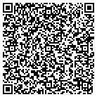 QR code with Badger Distribution Inc contacts