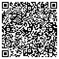 QR code with Window Xperts contacts