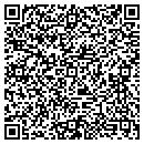 QR code with Publicistas Inc contacts