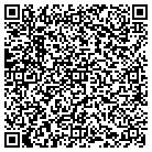 QR code with Spring Valley Area Schools contacts