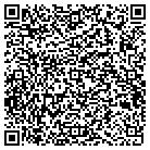 QR code with Spring Creek Carwash contacts