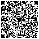 QR code with Spring Valley Elementary contacts