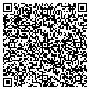 QR code with Pyramax Bank contacts