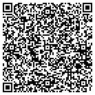 QR code with Pulsarlube Americas contacts