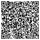 QR code with Ptacek's IGA contacts