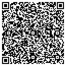 QR code with Carsey & Carsey Inc contacts