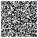 QR code with Cayuga Hotel Saloon contacts
