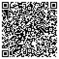 QR code with D Thur contacts