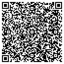 QR code with C J's Antiques contacts