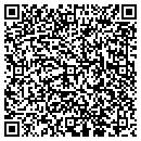 QR code with C & D Investment Inc contacts